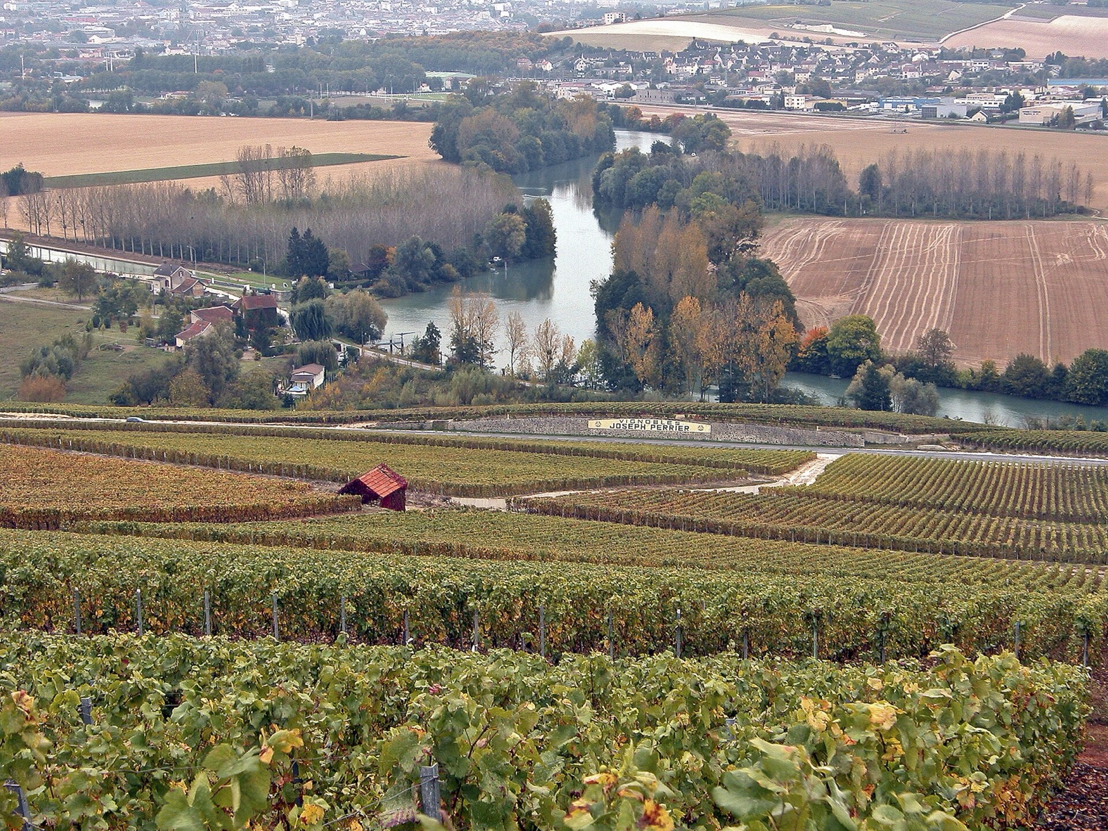 Vineyards above the Marne near Hautvillers